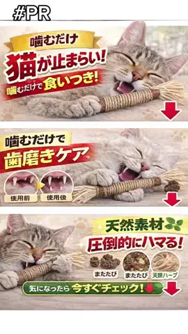 まりもん(･༝･ᐡ)のTikTok投稿
