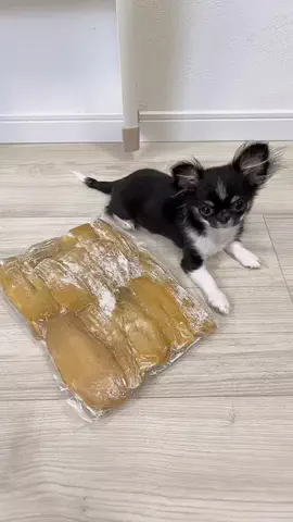 ふうこのTikTok投稿