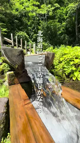 けんじ グルメマンのTikTok投稿