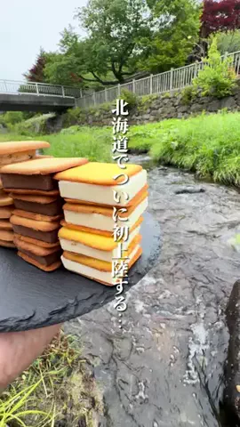 けんじ グルメマンのTikTok投稿