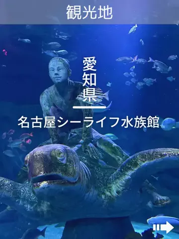 デンじょーの旅のTikTok投稿