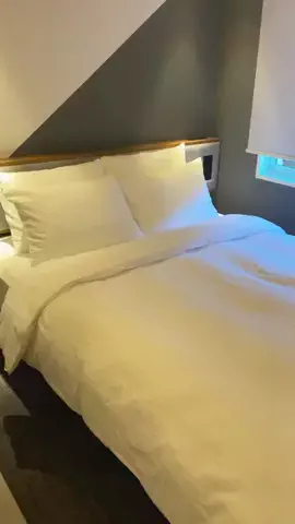 デンじょーの旅のTikTok投稿