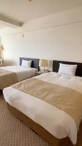 デンじょーの旅のTikTok投稿