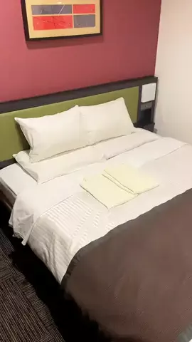 デンじょーの旅のTikTok投稿