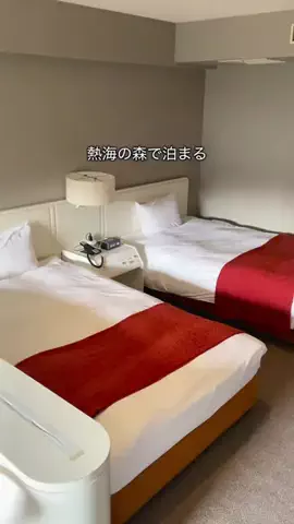 デンじょーの旅のTikTok投稿