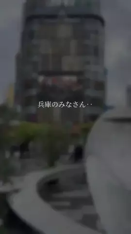 全力神戸グルメ@全力マネージャーあやぱんのTikTok投稿