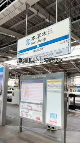 Sample2023のTikTok投稿