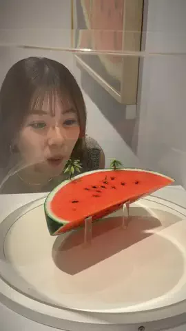 ほくたび✈️全国旅する北陸カップルのTikTok投稿