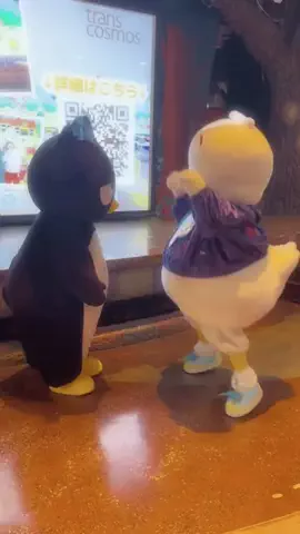 でえかにゃのTikTok投稿
