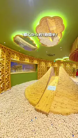 りゅうたびのTikTok投稿