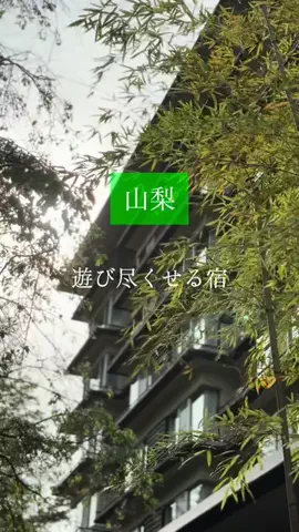 こだっくのTikTok投稿