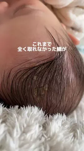 みそのTikTok投稿