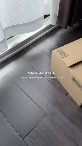 レナのTikTok投稿