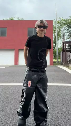 はやてのTikTok投稿