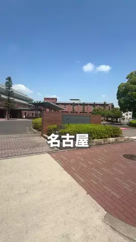 名古屋グルメ【ナゴグル】🍤のTikTok投稿