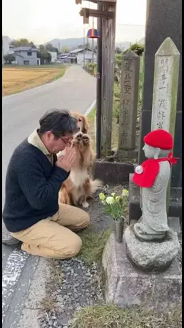 Funny animal channelのTikTok PR投稿：#二次会NINJA #かずき山盛り#PR#tiktokpresents 