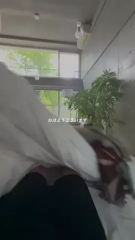 コンクリのGEN🪨のTikTok投稿