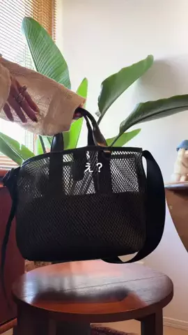 MaikoのTikTok投稿