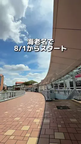 えびなびのTikTok投稿