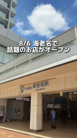 えびなびのTikTok投稿