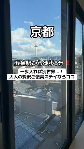 🌺なみひらりさ✈️🗺️｜絶景ホテル×コスパ旅のTikTok投稿