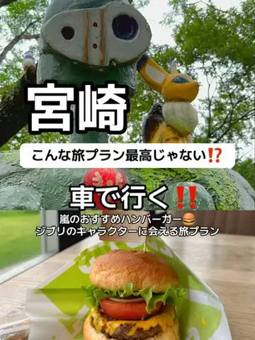 🌺なみひらりさ✈️🗺️｜絶景ホテル×コスパ旅のTikTok投稿