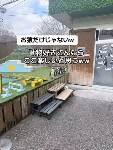あかり|年100日旅暮らし✈️子連れも♡のTikTok投稿