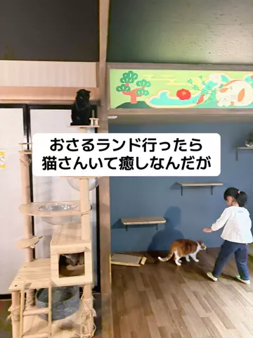 あかり|年100日旅暮らし✈️子連れも♡のTikTok投稿