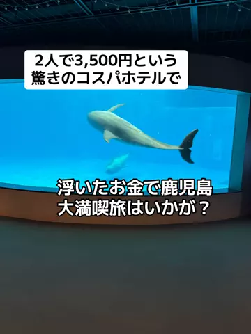 あかり|年100日旅暮らし✈️子連れも♡のTikTok投稿