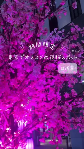 ナウトピ｜世の中の「いま」を発信！のTikTok投稿