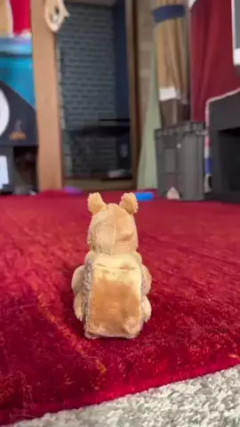 実家の犬が可愛すぎるのTikTok投稿