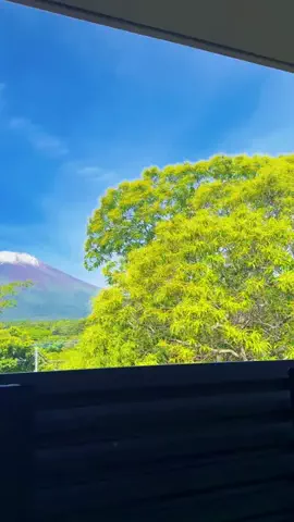 えみっくす🐷❣️のTikTok投稿