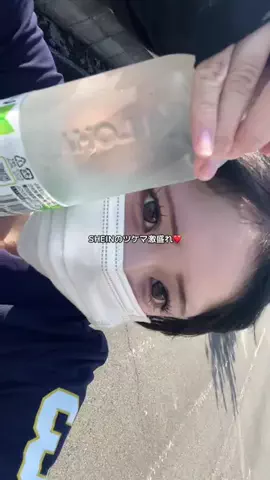 ネのTikTok投稿