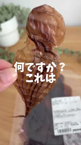 foodroomのTikTok投稿