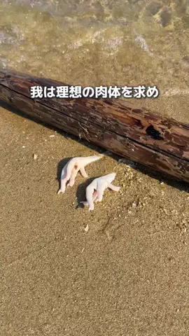 ほしし|ずぼら母のラクして整う暮らし術のTikTok投稿