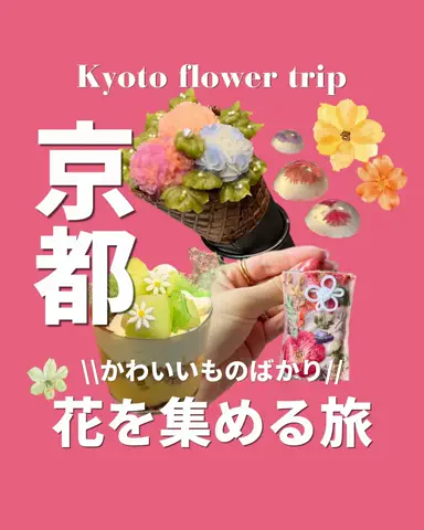 ゆきたび✈︎大人女子の週末旅のTikTok投稿