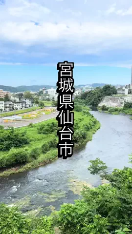 まるこのTikTok投稿