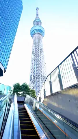 よっぴぃのTikTok投稿