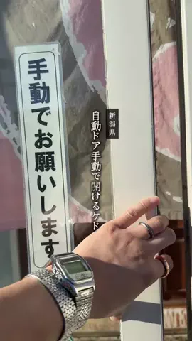 がたうぉーかー【新潟グルメ/スポット】のTikTok投稿