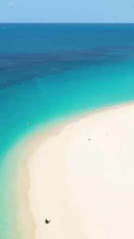 よっぴぃのTikTok投稿