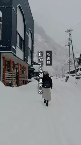 がたうぉーかー【新潟グルメ/スポット】のTikTok投稿