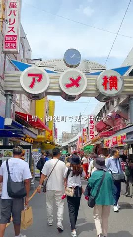 なずな🍡下町グルメ｜浅草・上野・谷根千・北千住のTikTok投稿