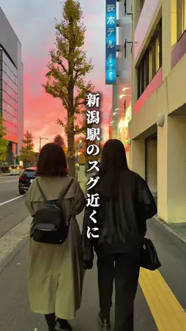 がたうぉーかー【新潟グルメ/スポット】のTikTok投稿