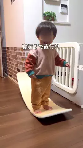 すー⌇ラク育児でママと家族を救う｡:*のTikTok投稿