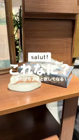 カナ | お財布に優しい便利アイテムガイド👛✨のTikTok投稿
