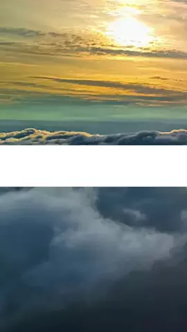 かほ【お得情報💰】のTikTok投稿