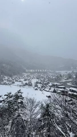 なみちゃん旅のTikTok投稿