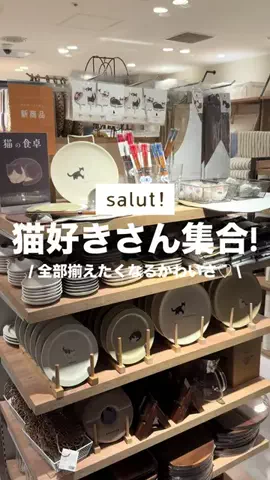 カナ | お財布に優しい便利アイテムガイド👛✨のTikTok投稿