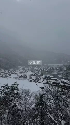 なみちゃん旅のTikTok投稿
