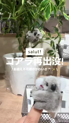 カナ | お財布に優しい便利アイテムガイド👛✨のTikTok投稿